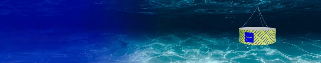 Custom Hanging Banners